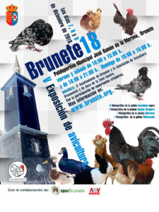 Brunete 2018 - V Exposición de Avicultura @ Polideportivo Municipal José Ramón de la Morena, Brunete | Brunete | Comunidad de Madrid | España